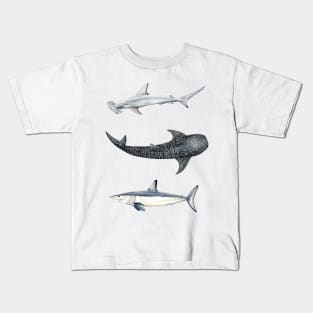 Shark trio: hammerhead shark, mako shark and whale shark Kids T-Shirt